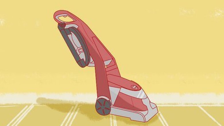 How to Teach Your Pet Not to be Scared of the Vacuum Cleaner