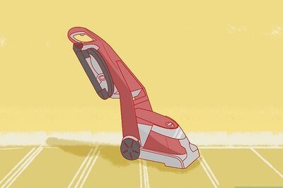 How to Teach Your Pet Not to be Scared of the Vacuum Cleaner