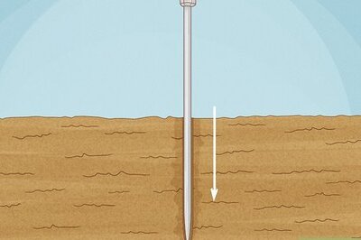 How to Grow a Rose Bush from a Single Stem or Cutting