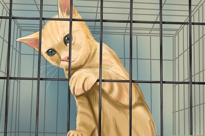 How to Add a Pet to Your Lease