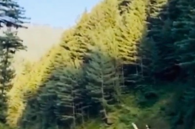 This Young Man's Stunning Catch On A Hill Will Remind You Of Suryakumar Yadav