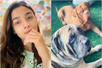 Alia Bhatt Shows Off Pet Photography Skills with Pics of Her Cat and Ranbir Kapoor's Dogs