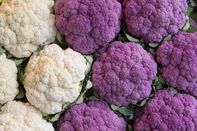 Hues Of Purple On Your Plate For Healthy Life