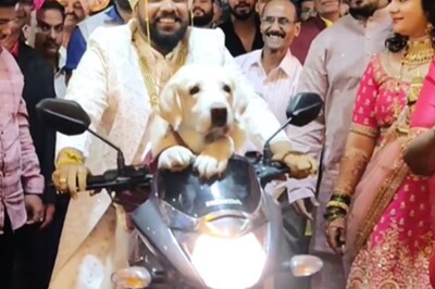 'Pawdorable' Video of Groom's Grand Entry at His Wedding With Pet Dog Wins Hearts