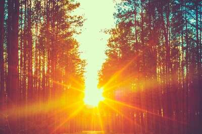 Aaj Ka Panchang, December 30, 2023: Tithi, Vrat, Rahu Kaal, and Other Details