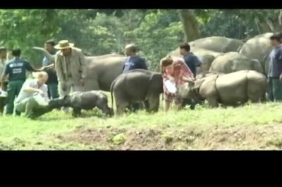 After Prince William, Kate's visit, Rhino dies in Assam's Kaziranga park