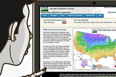 How to Grow Vegetables in the Midwest
