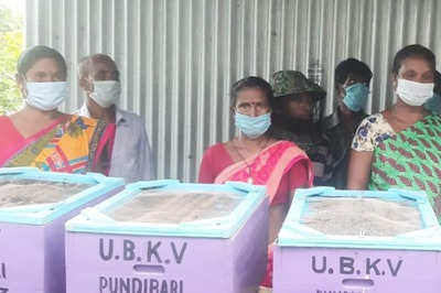 A Jumbo Honey Trap: Bengal's Bees to Keep Elephants at Bay as Locals Look to Reduce Man-Animal Conflicts