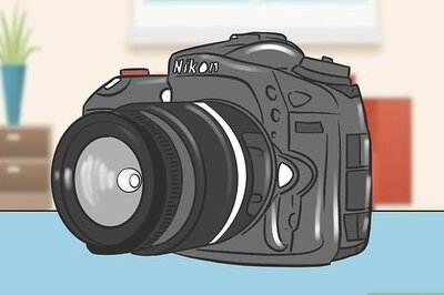 How to Photograph a Bird