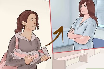 How to Sue for Veterinary Malpractice