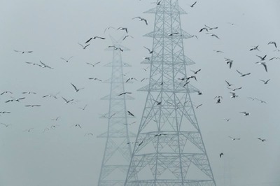 Two Control Rooms to be Set up in Gurugram, Faridabad to Combat Air Pollution in NCR