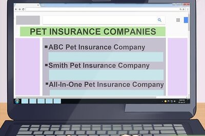 How to Compare Pet Insurance Companies