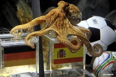 Octopus Paul could be in a soup if Spain win