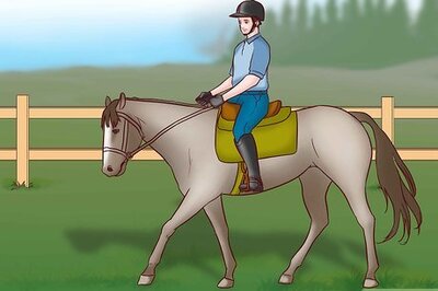 How to Compete in an English Pleasure Class