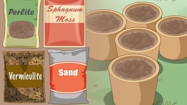 How to Propagate from Cane Cuttings