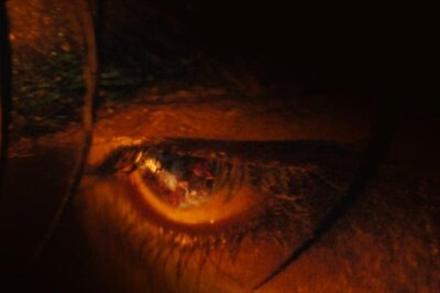 Jawan: Shah Rukh Khan Starrer Drops a Mysterious New Poster, Is It Vijay Sethupathi?