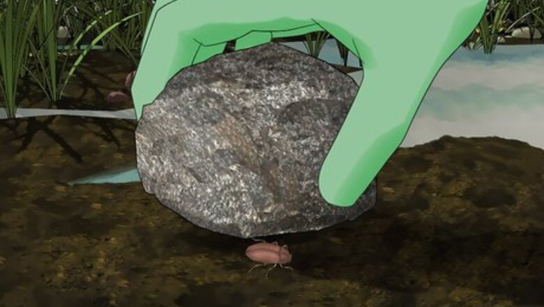 How to Catch Small Bugs