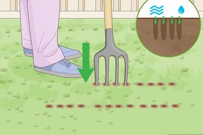 How to Break Down Clay Soil Fast