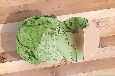 How to Tell if Lettuce Has Gone Bad