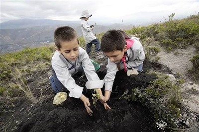 Ecuador breaks Guinness reforestation record, plant 6,47,250 trees in a day
