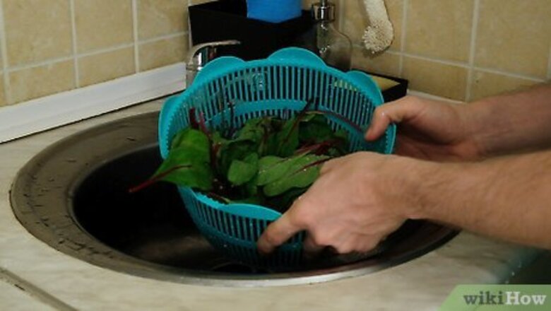 How to Preserve Swiss Chard