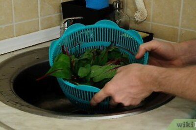 How to Preserve Swiss Chard