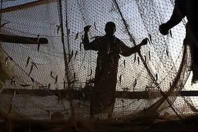 25 Indian fishermen arrested in Sri Lanka
