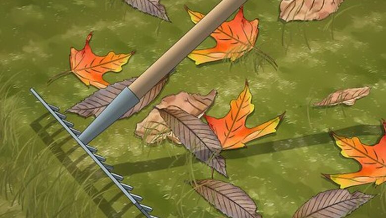 How to Keep Your Grass Green in the Winter