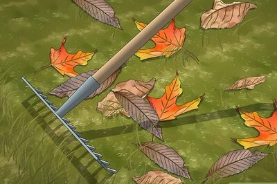 How to Keep Your Grass Green in the Winter