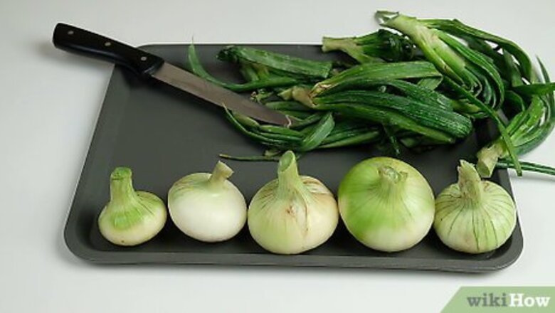 How to Preserve Onions