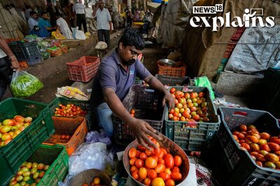 Why are Tomato Prices So High and the Reason Behind Prices Not Coming Down Soon | Explained