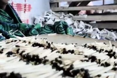 In Tamil Nadu's Virudhunagar, Matchbox Industry Most Affected Due To Chinese Lighters
