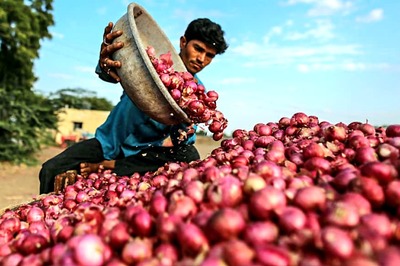 Bumper Onion Crop in Poll-bound MP May Prove to be Bane of Shivraj Singh Chouhan Govt