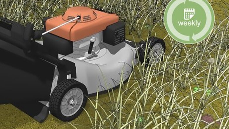 How to Keep Ticks Out of Your Yard