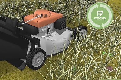 How to Keep Ticks Out of Your Yard