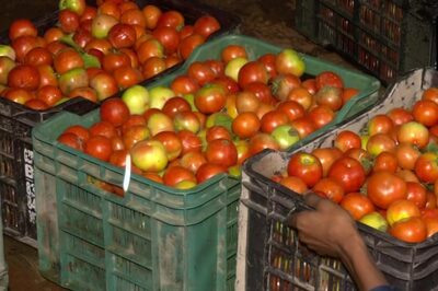 Karnataka: Tomato Prices in Red, Reach Rs 100 Per Kg in Bengaluru Markets | Here's Why