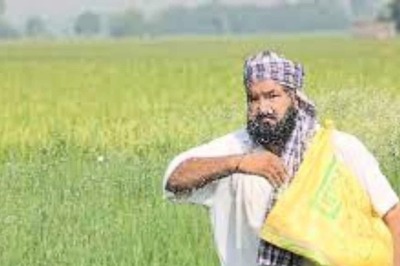 News18 Evening Digest: Centre Approves Commercial Release of Nano-DAP; Govt Seized Passports of Those Who Breached Yemen Travel Ban