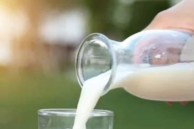 Here's How You Can Keep Up With the Nutrition Despite Hectic Work Schedule