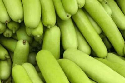 Kofta To Paranthe, 5 Delicacies That Can Be Prepared With Lauki