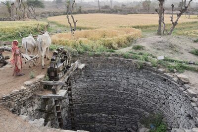 Science-Wise: As Govt Races to Meet 2024 Target for Har Ghar Jal, Depleting Groundwater Poses Challenge