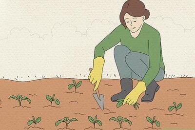 Korean Blood Type Personalities: What Does Your Blood Type Say about You?