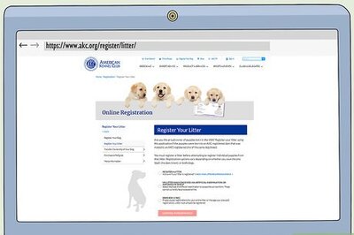 How to Register a Dog with the AKC