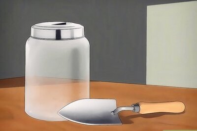How to Catch Ants for an Ant Farm