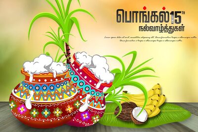Happy Pongal 2022: Wishes, Images, Status, Quotes, Messages and WhatsApp Greetings to Share in English and Tamil