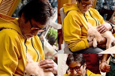 Meet Amitabh Bachchan's New Companion Who Is 'Cozy' and 'Comfortable' in His Arms
