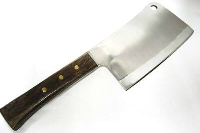 US: Man shoots dog, slits stomach to retrieve son's finger