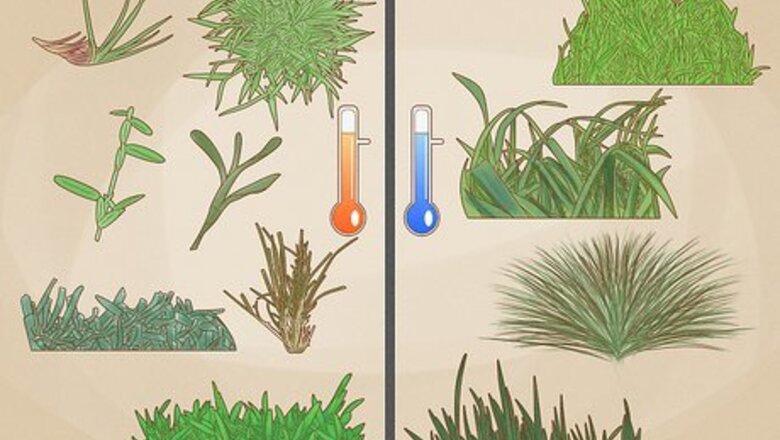 How to Fertilize a Lawn