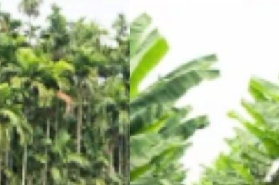 This Organisation In Karnataka Is Helping Landowners Set Up Their Farm