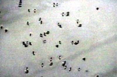 'Malaria kills over 2 lakh Indians every year'