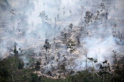 Indonesia Gets U.N. Funds To Fight Climate Change, Deforestation